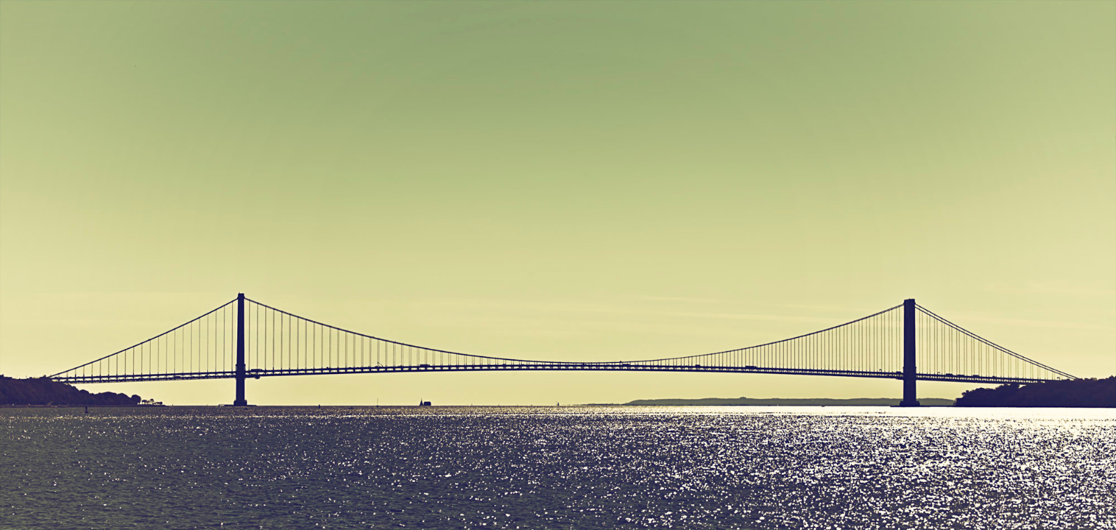 Verrazano Narrows Bridge4